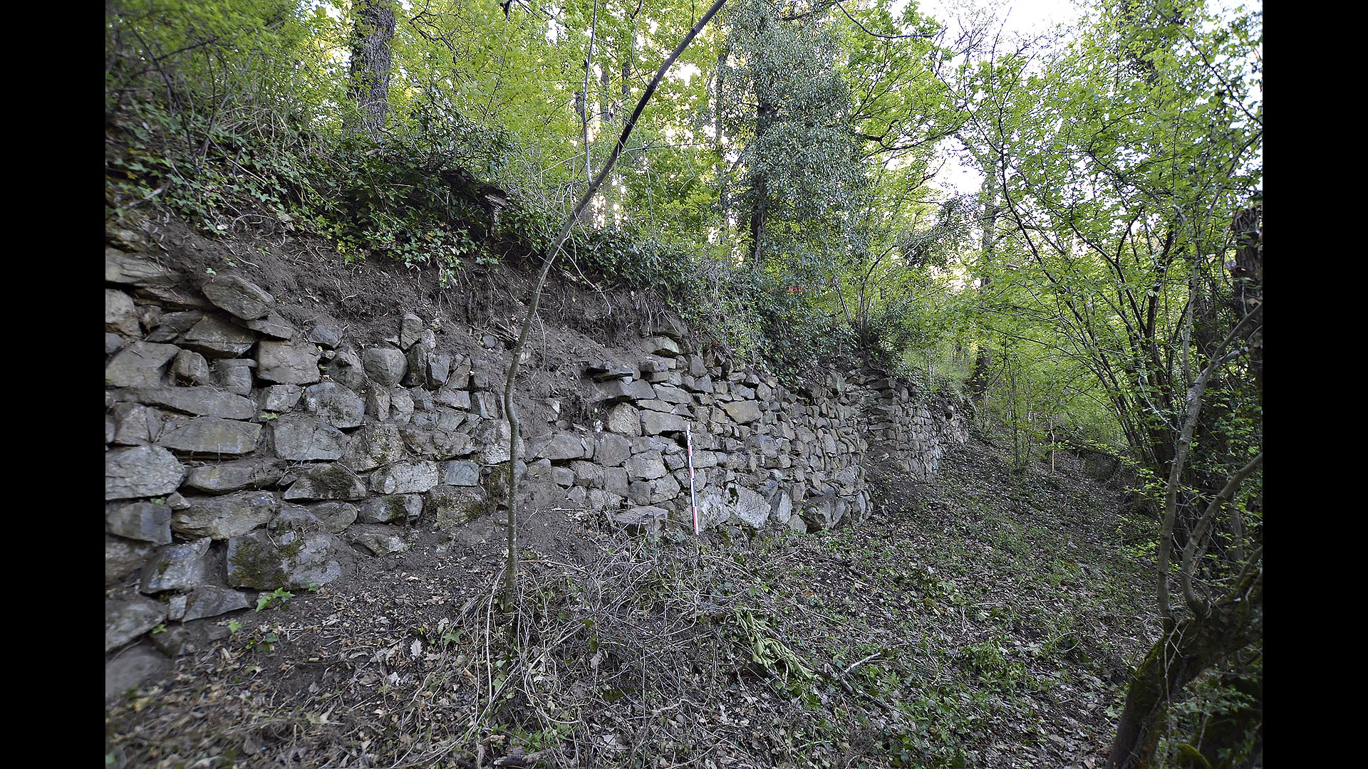 Mur d’enceinte ouest du castrum mérovingien